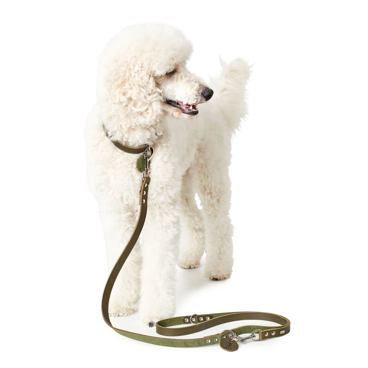 Hunter Aalborg Sport Oliven 42 hundehalsbånd - 32-38 cm